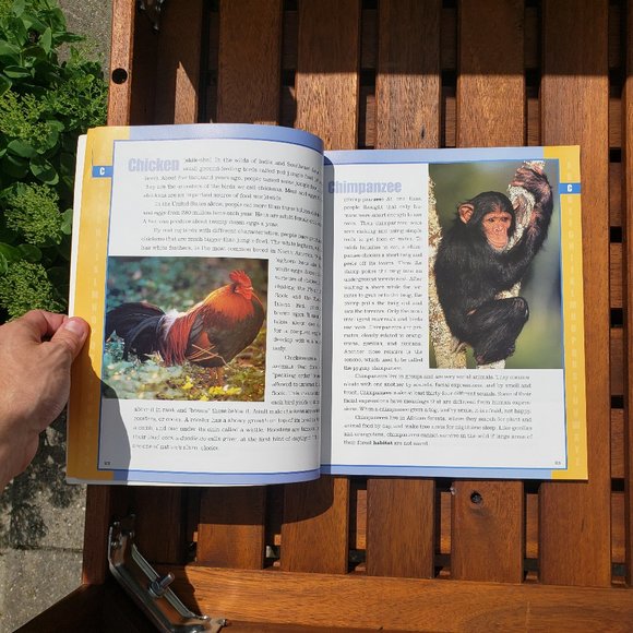 Book | Scholastic Encyclopedia of Animals - Picture 4 of 6